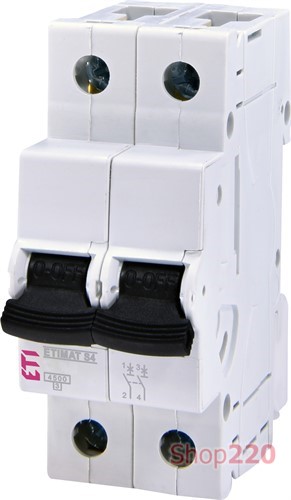 Автоматический выключатель 6 А, 2-полюсный, хар-ка С, ETIMAT S4 ETI - фото 104409
