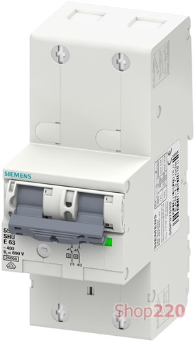 Селективный автоматический выключатель 20А, 2 полюса, кривая Е, Siemens - фото 106258