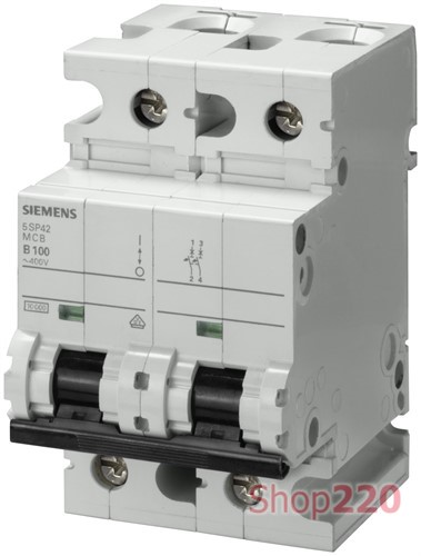 Автоматический выключатель 100А, 2-полюсный, уставка C, Siemens - фото 107003