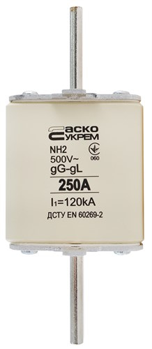 Предохранитель ножевой с плавкой вставкой NH2 250A gG - фото 138210