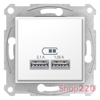 USB розетка, белый, SDN2710221 Schneider Electric Sedna - фото 47857