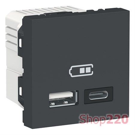 Розетка USB для зарядки, тип A + C , антрацит, 2 модуля, Unica New Schneider NU301854 - фото 68863