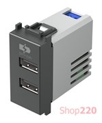 Розетка с USB двойная EM67AT MODUL