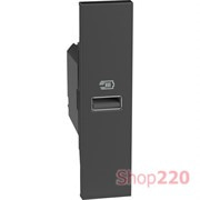 Розетка USB на тип - А 15 Вт/3000мА 1 модуль, черный, Bticino Living Now