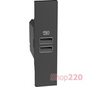 Розетка USB на 2 разъёма тип - A/A 15 Вт/3000мА 1 модуль, черный, Bticino Living Now