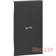 Лицевая панель выключателей и переключателей с символом "ключ" 2 модуля. черный. Bticino Living Now. KG01M2F