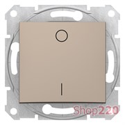 Выключатель 2-х полюсный 1-клавишный, титан, Sedna SDN0200168 Schneider