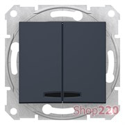 Выключатель двухклавишный с синей подсветкой, графит, Sedna SDN0300370 Schneider