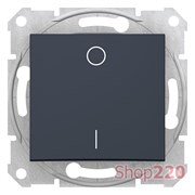 Выключатель 2-х полюсный 1-клавишный, графит, Sedna SDN0200270 Schneider