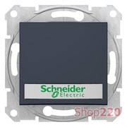 Кнопка с синей подсветкой и полем для надписи, графит, Sedna SDN1600370 Schneider