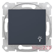 Кнопка "Свет", графит, Sedna SDN0900170 Schneider