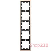 Рамка 5 постов, шампань (металл), Merten MTN4050-6551