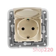 Розетка влагозащищенная IP44 с заземлением, слоновая кость, 664847 Legrand Etika