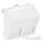 Панель для двух модулей RJ45 R&M наклонная, 45х45, белый, 6119298 Obo Bettermann