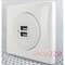 Розетка USB для зарядки, 67462 Legrand Celiane - фото 35687