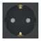 Розетка с заземлением и шторками, антрацит, 2 модуля, Unica New Schneider NU305754 - фото 69154