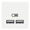 Розетка USB для зарядки, двойная, белый, 2 модуля, Unica New Schneider NU341818 - фото 69270
