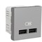 Розетка USB для зарядки, двойная, алюминий, 2 модуля, Unica New Schneider NU341830 - фото 72425