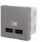Розетка USB для зарядки, двойная, алюминий, 2 модуля, Unica New Schneider NU341830 - фото 72430