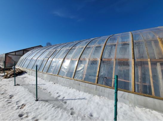 Можно ли накрывать теплицу пленкой зимой