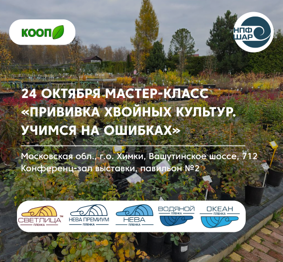 Мастер-класс «Прививка хвойных культур. Учимся на ошибках»