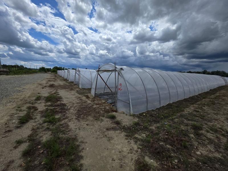 Почему крупным хозяйствам выгоднее использовать пленку НЕВА™ Премиум