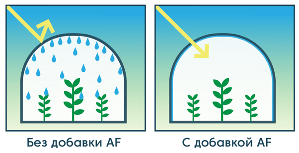 Пленка с AF 