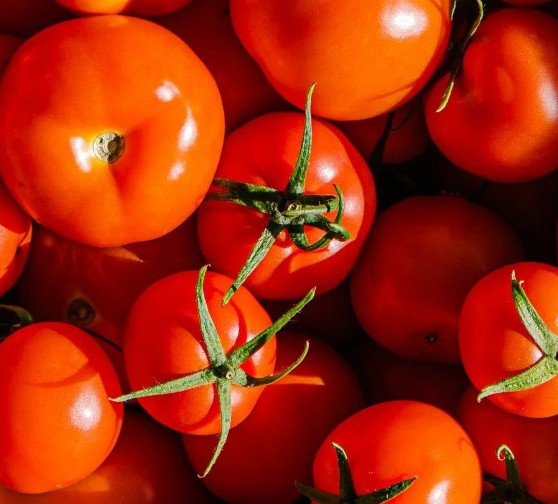 //cdn.optipic.io/site-1367/blog/obzory-tovarov/chto-posadit-v-teplitse-vazhnye-nyuansy-vyrashchivaniya-ogurtsov-i-pomidorov/Скриншот 02-06-2025 121931.jpg