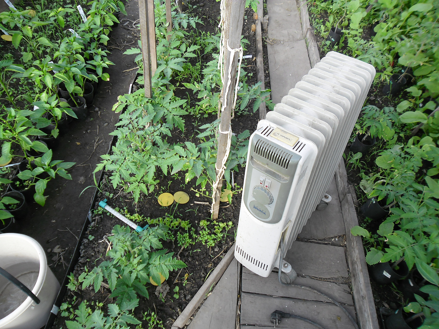 Описание опыта со Светлицей ТМ от Абаканского центра природного земледелия Сияние