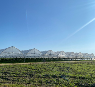 Пленка НЕВА™ Премиум ширина 7 метров (рулон)