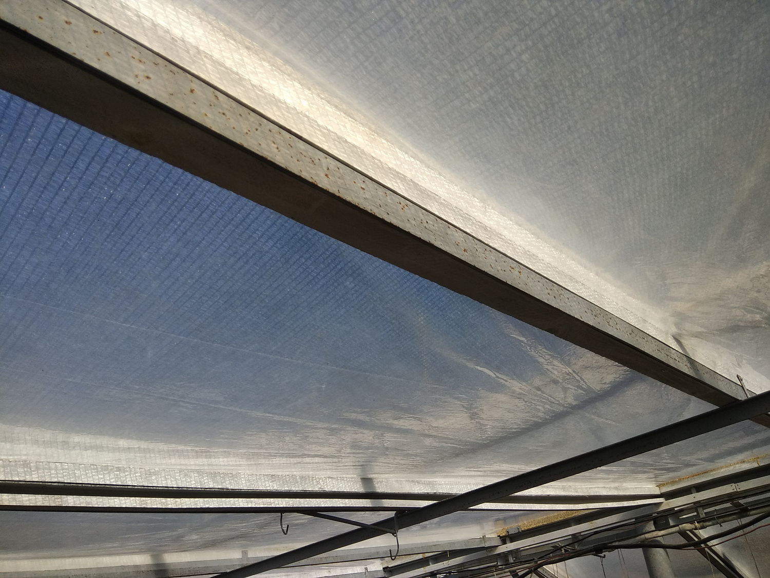 Отзыв от СГОО "Клуб цветоводов любителей "Флора"