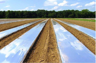 SVETLITSA ™ GROUND film 60 µm canvas 1.2 m 200 linear meters (240 m2) black (roll)