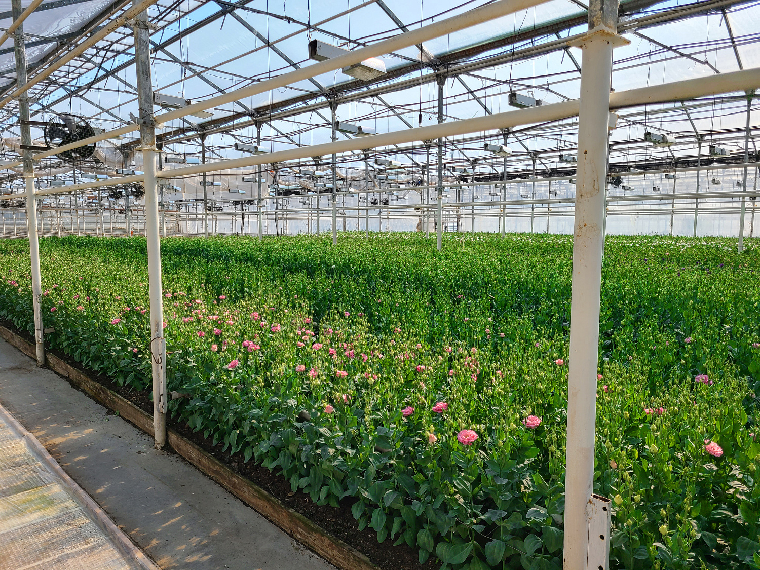 Пленка СВЕТЛИЦА™ ширина 4 метра (рулон)