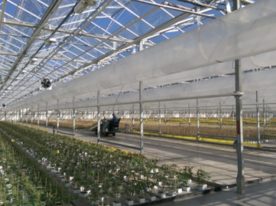 Рукав для обогрева теплиц 250 мкм, ширина 1,884 м (рукав 0,942 м), 100 пог.м