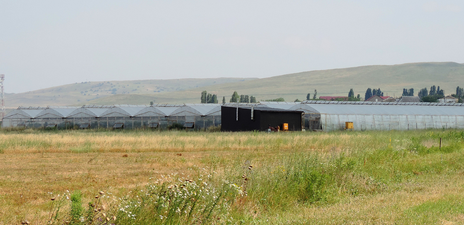 SVETLITSA™ film width 4 meters (roll)