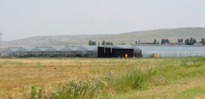 SVETLITSA™ film width 4 meters (roll)