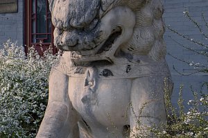 Peking University - Курсы китайского языка