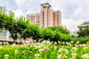 Shanghai Normal University - курсы китайского