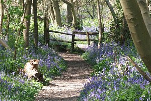 Kent College Pembury