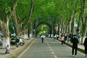 Wuhan University - курсы китайского