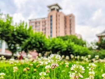 Shanghai Normal University