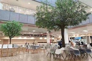 Fudan pre-University - программа подготовки на бакалавра в Фудань