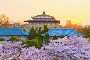 Wuhan University - курсы китайского