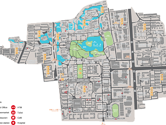 Peking University - Курсы китайского языка