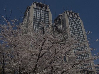 Fudan University - университет Фудань