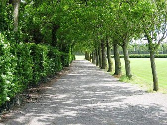 IH Dublin Wesley College