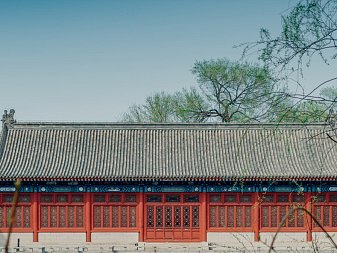 Peking University - Курсы китайского языка