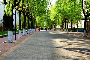 Harbin Institute of Technology