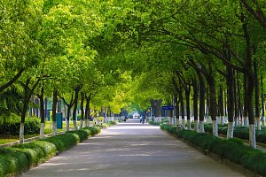 Shanghai Normal University - курсы китайского