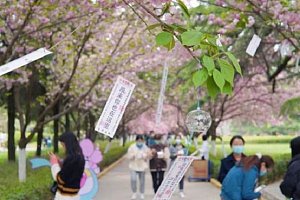 Xi'an Jiao Tong University International Foundation Programme IFP